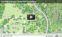 Cental Park Nature Video